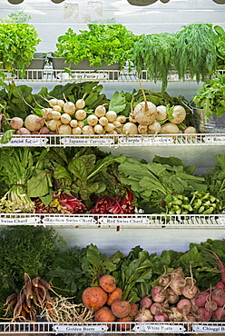 A farm stand with rows of freshly picked vegetables for sale, Hurley, New York, USA