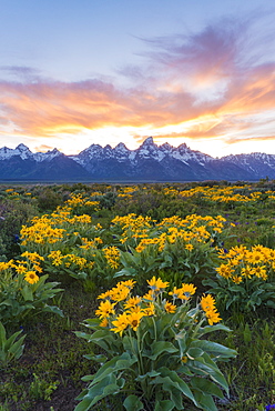 The Teton mountain range in the Grand Teton national park at sunset, Grand Teton National Park, Wyoming, USA