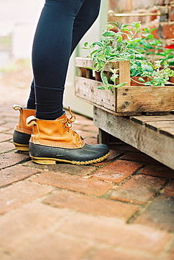 A woman wearing waterproof boots, with a box of seedlings, England