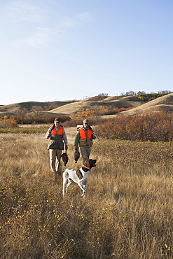 Two men, bird hunters, with shotguns, carrying the day's bag of dead birds, and a spaniel dog, Saskatchewan, Canada