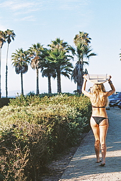 A woman in a black bikini walking down a path carrying a surfboar on her head.