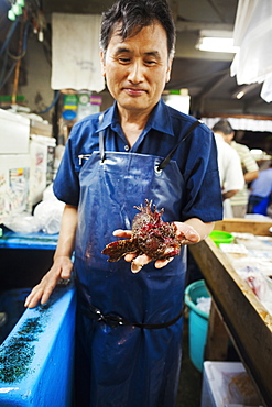 A traditional fresh fish market in Tokyo. a man holding out a lionfish, a fresh fish with venomous spines, Japan