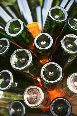 Glass bottles in a bin, green bottles. 