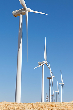 Tall wind turbines in open country farmland in Washington, United States of America