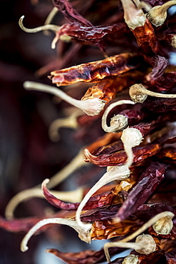 Close up of small bunch of dried red chilies