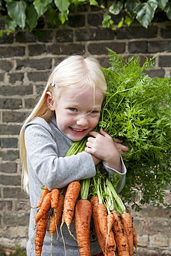 A young girl holding a large bunch of carrots.