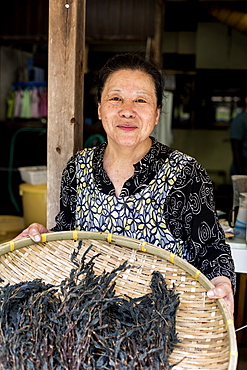 Japanese woman standing in a textile plant dye workshop, holding basket with plant matter, smiling at camera, Kyushu, Japan