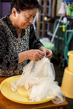 Japanese woman standing in a textile plant dye workshop, holding piece of sheer white fabric, Kyushu, Japan