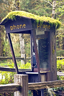 Moss Covered Phone Booth, Forks, WA, US