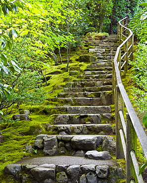 Outdoor Stone Stairway, Portland, Oregon, United States of America