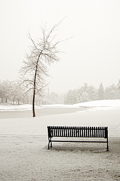 Empty Park Bench in Snow, Salt Lake City, Utah, United States of America