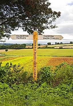 Wooden Signpost in Countryside, Halberton, Devon, England, UK