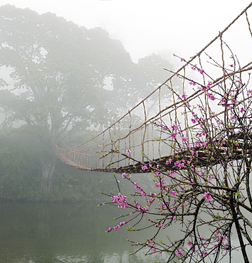 Footbridge Suspended Over a Foggy River, Lao Cai, Vietnam