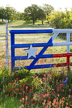 Fence With a Texas Paint Job, Texas, USA