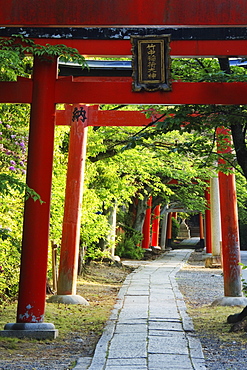 Stone Path and Japanese Arches, Kyoto, Japan