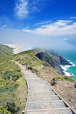 Steps on coastal hillside, Te Werahi, Cape Reinga, New Zealand, Te Werahi, Cape Reinga, New Zealand