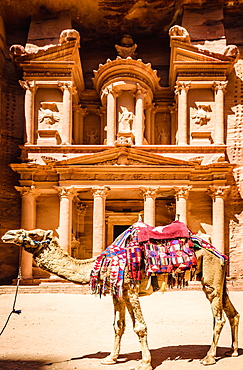 Camel wearing harness by ancient building, Petra, Jordan, jordan, Petra, Jordan, Jordan