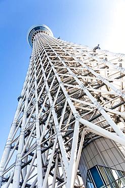 Low angle view of the framework of Tokyo Sky Tree, Tokyo, Japan