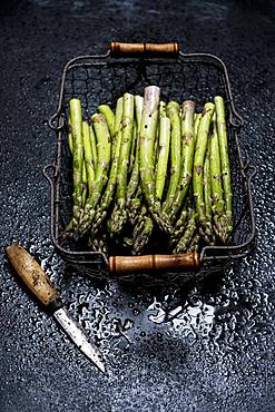 High angle view of freshly picked green asparagus in metal basket