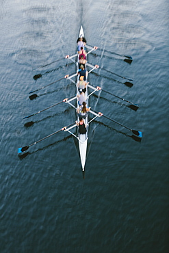 Female crew racers rowing, high angle view, Lake Union, Seattle, Washington, United States of America