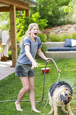 A teenage girl washing her dog on green lawn