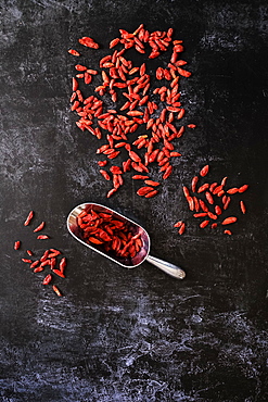 High angle close up of Goji berries and metal scoop on black background