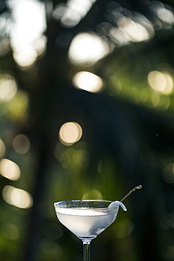 Close up of glass of coconut martini, Thailand