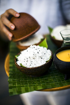 High angle close up of hand holding coconut flesh and black sesame seeds used as a body scrub, Thailand