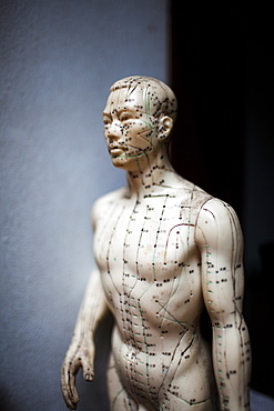 Close up of male acupuncture dummy showing pressure points used by practitioners of traditional Asian medicine, Vietnam