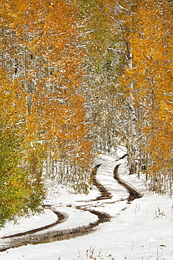 A road in the Uinta Mountains, with light snow on the ground, Uinta Mountains, Utah, USA