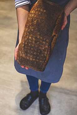 Artisan bakery making special sourdough bread, a large baked load with dark crust