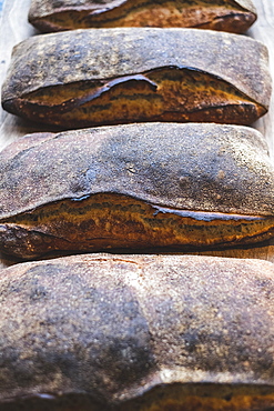 Baked soughdough bread loaves with a dark crust