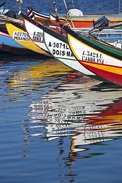 Traditional moliceiros fishing boats with high prows, painted in vivid colours, moored offshore at Torreira, Ria de Aveiro Lagoon, Portugal