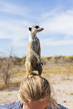 12 year old girl with Meerkat on her head, Kalahari Desert, Makgadikgadi Salt Pans, Botswana