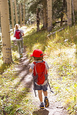 rear view of children walking on nature trail