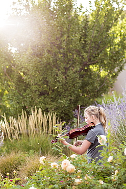 Teenage girl standing among flowering roses and shrubs playing a violin