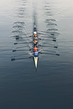 Overhead view of a crew in an eights boat rowing on a lake , Washington, United States