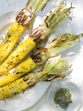 A buffet table set up in a garden for al fresco meal. Sweetcorn, corn on the cob, Maryland, USA