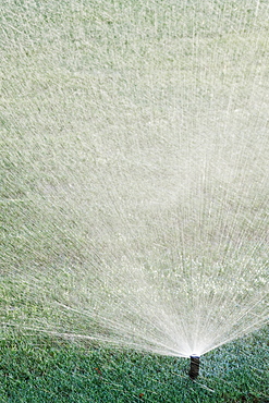 Sprinkler on Lawn, McKinney, Texas, United States