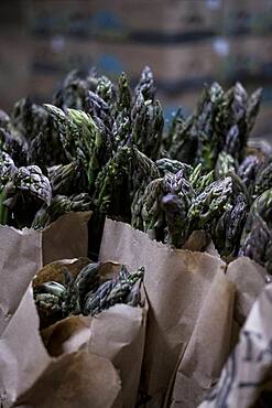 High angle close up of green and purple asparagus in paper bags, Oxfordshire, United Kingdom