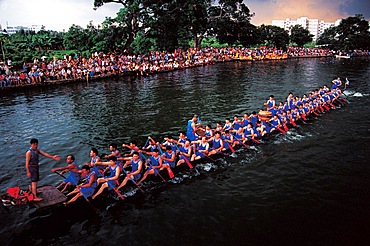 A dragon boat race