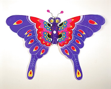 Kite in butterfly design