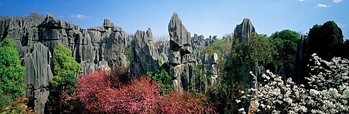 The Stone Forest, Yunnan