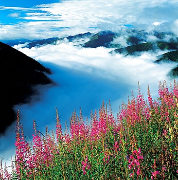 Aba, Sichuan