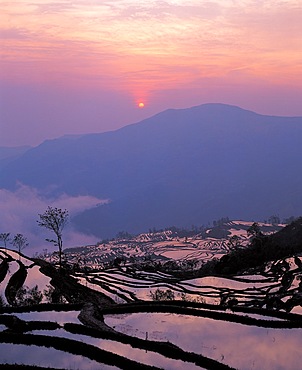 The terraced fields in Yunyang, Yuannan