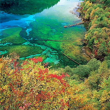 Wuhua Lake in Jiuzhaigou, Sichuan