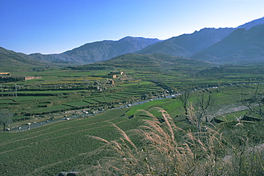 Agricultural landscape near Murghazar, Swat, North West Frontier Province, Pakistan, Asia