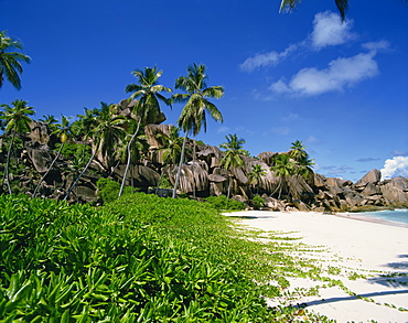 Grand Anse, La Digue, Seychelles, Indian Ocean, Africa