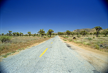 Joshua Tree National Monument, California, United States of America, North America