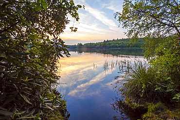 Sunset at Virgina Water lake, Surrey, England, United Kingdom, Europe